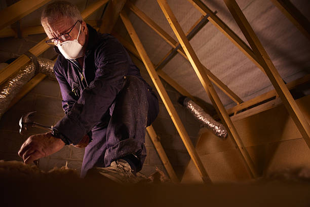 Best Blown-in Insulation in Chesapeake Beach, MD